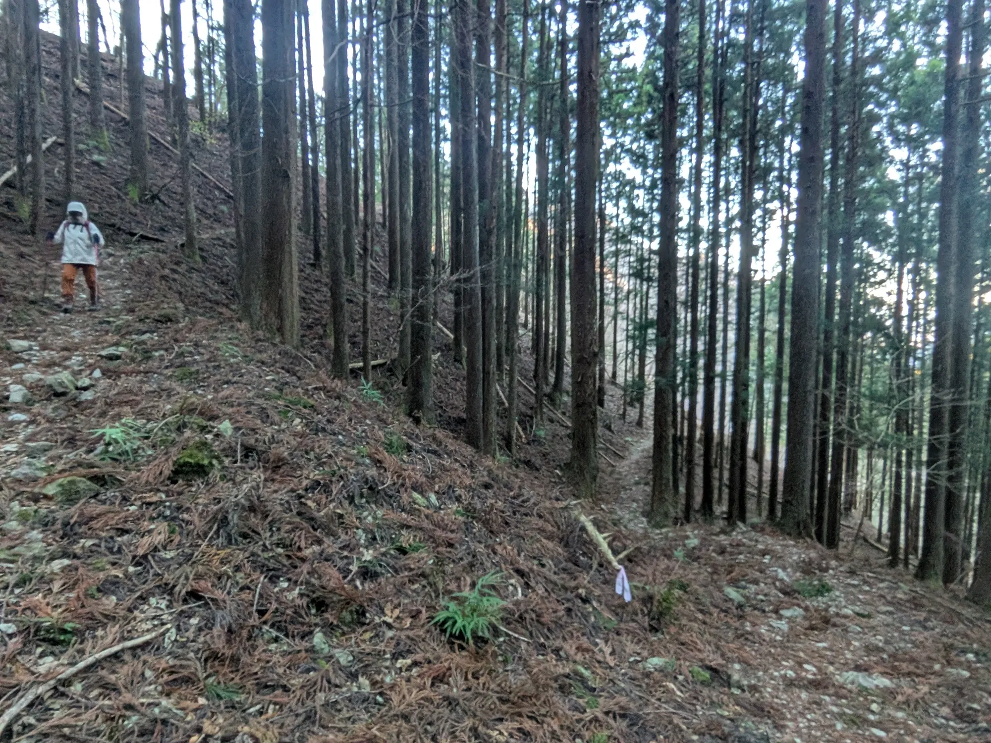 たむら鍼灸整骨院のイメージ