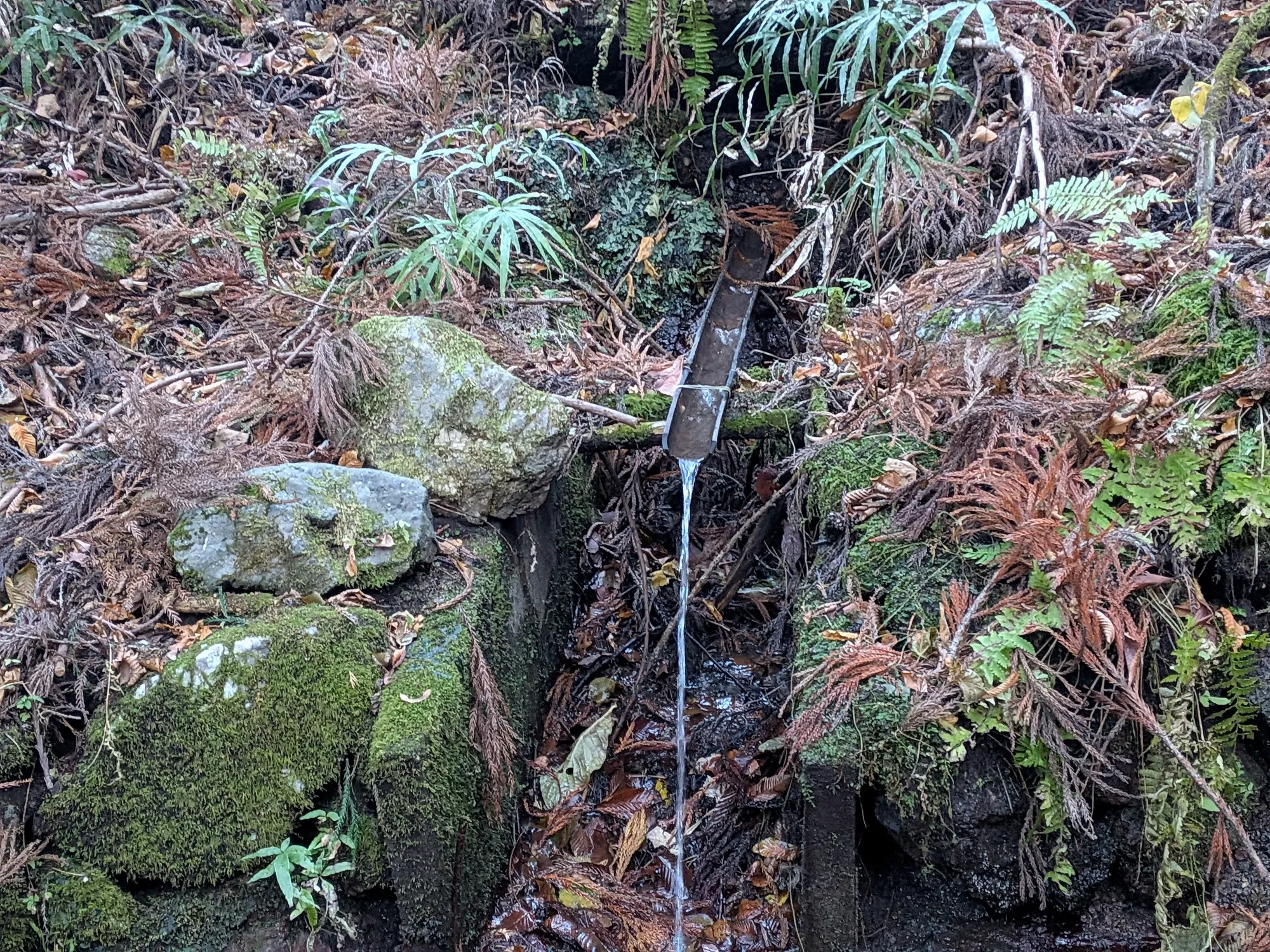 たむら鍼灸整骨院のイメージ