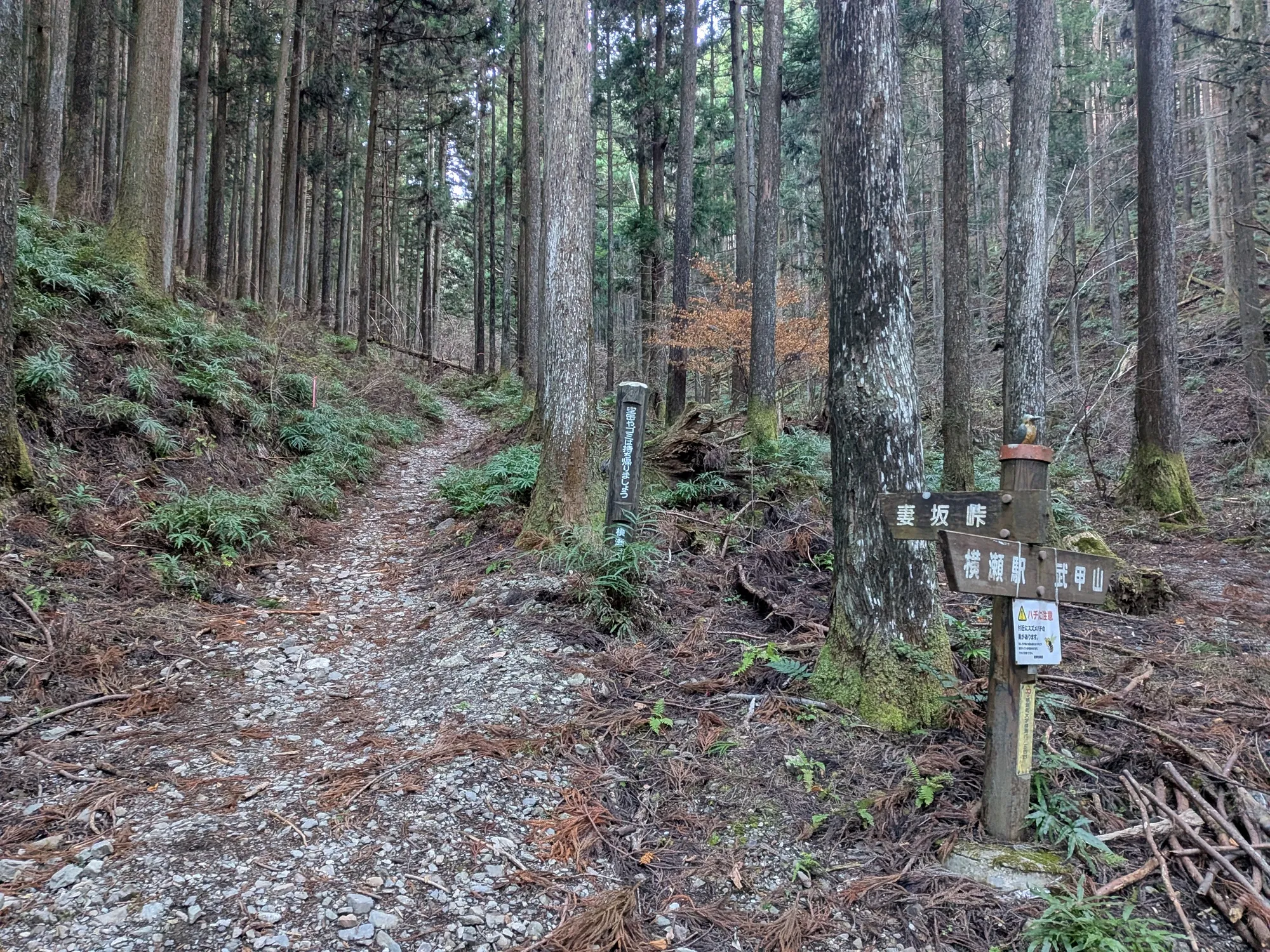 たむら鍼灸整骨院のイメージ
