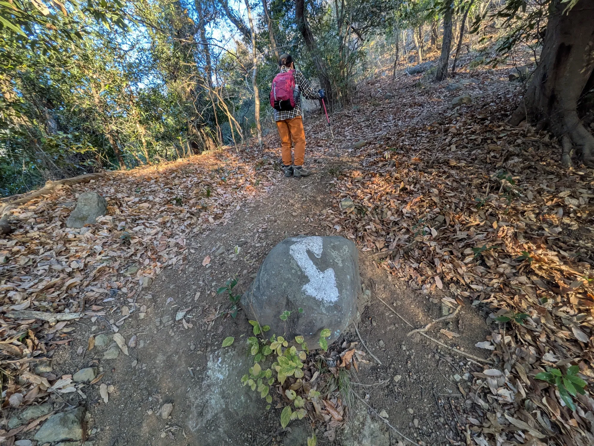 たむら鍼灸整骨院のイメージ