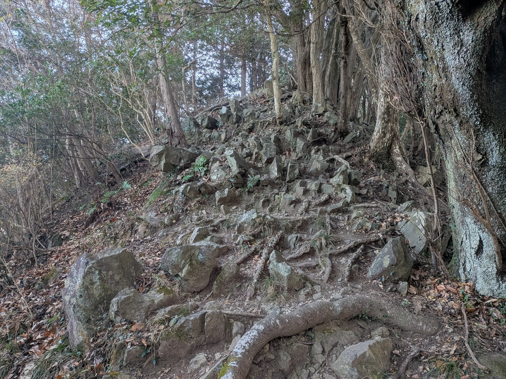 たむら鍼灸整骨院のイメージ