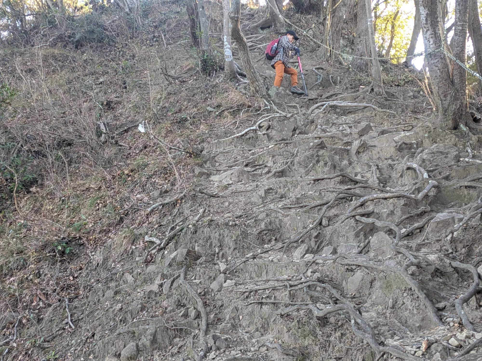 たむら鍼灸整骨院のイメージ