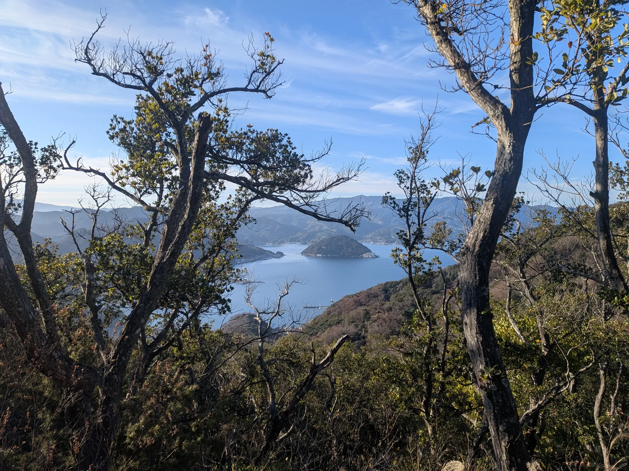 たむら鍼灸整骨院のイメージ