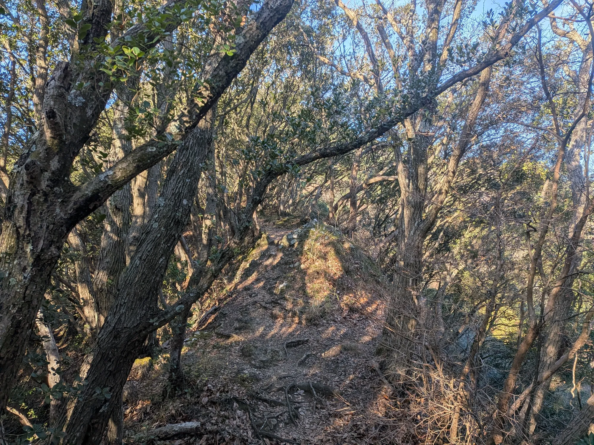 たむら鍼灸整骨院のイメージ