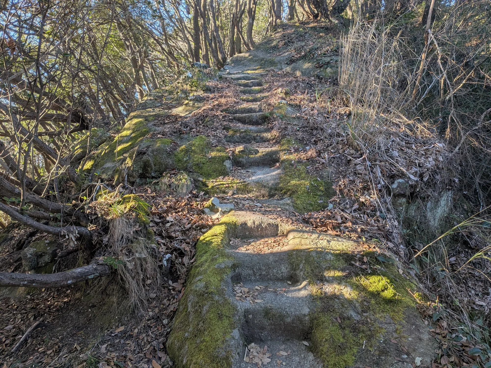 たむら鍼灸整骨院のイメージ