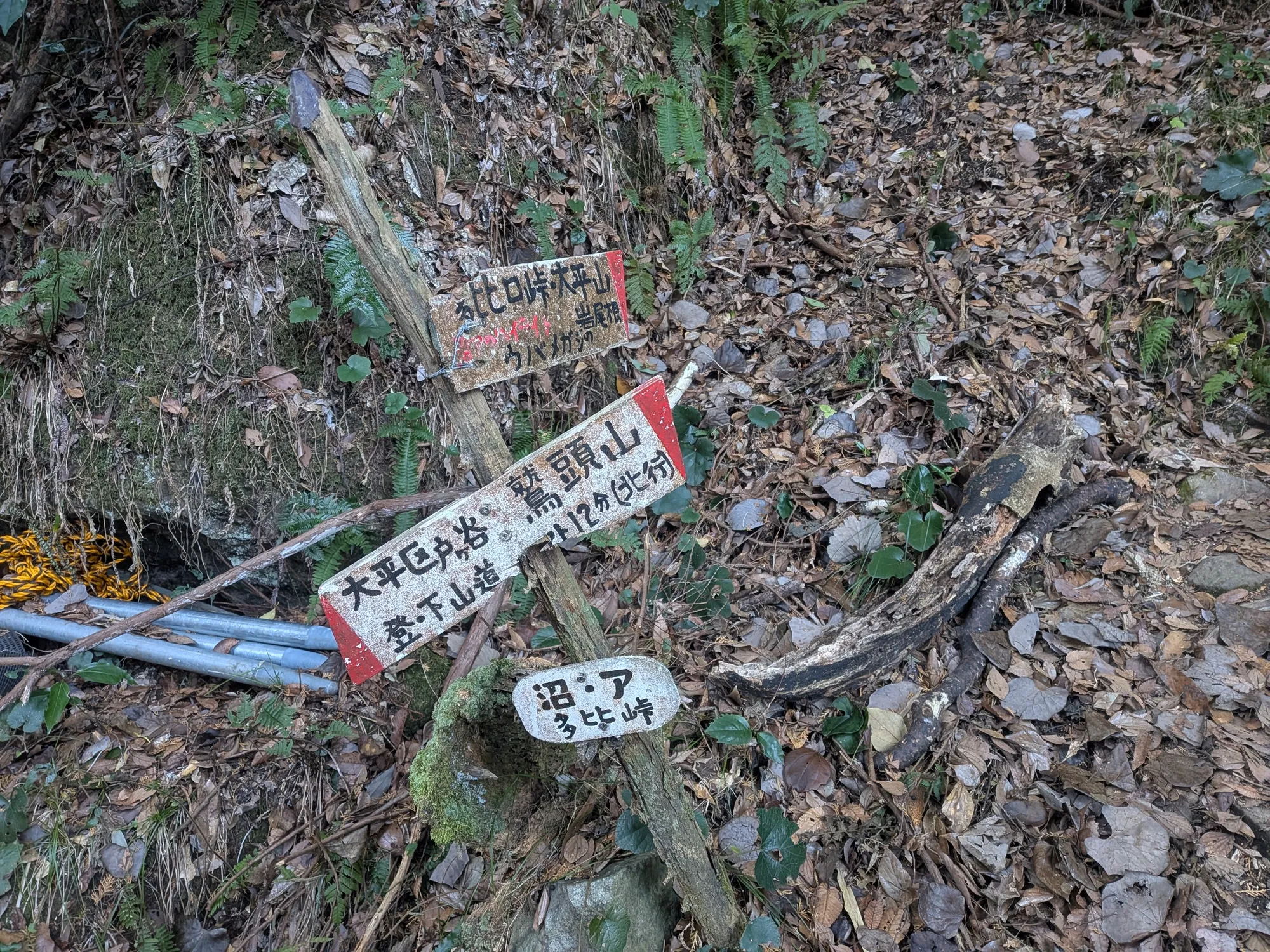 たむら鍼灸整骨院のイメージ