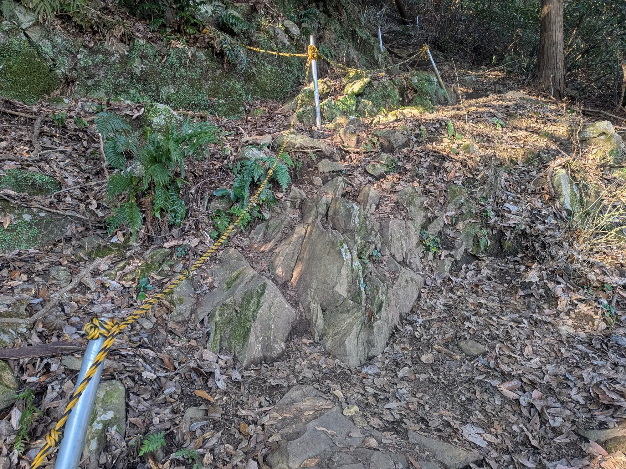 たむら鍼灸整骨院のイメージ