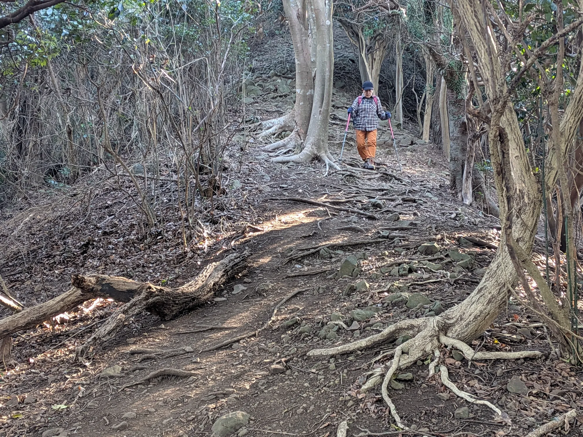 たむら鍼灸整骨院のイメージ