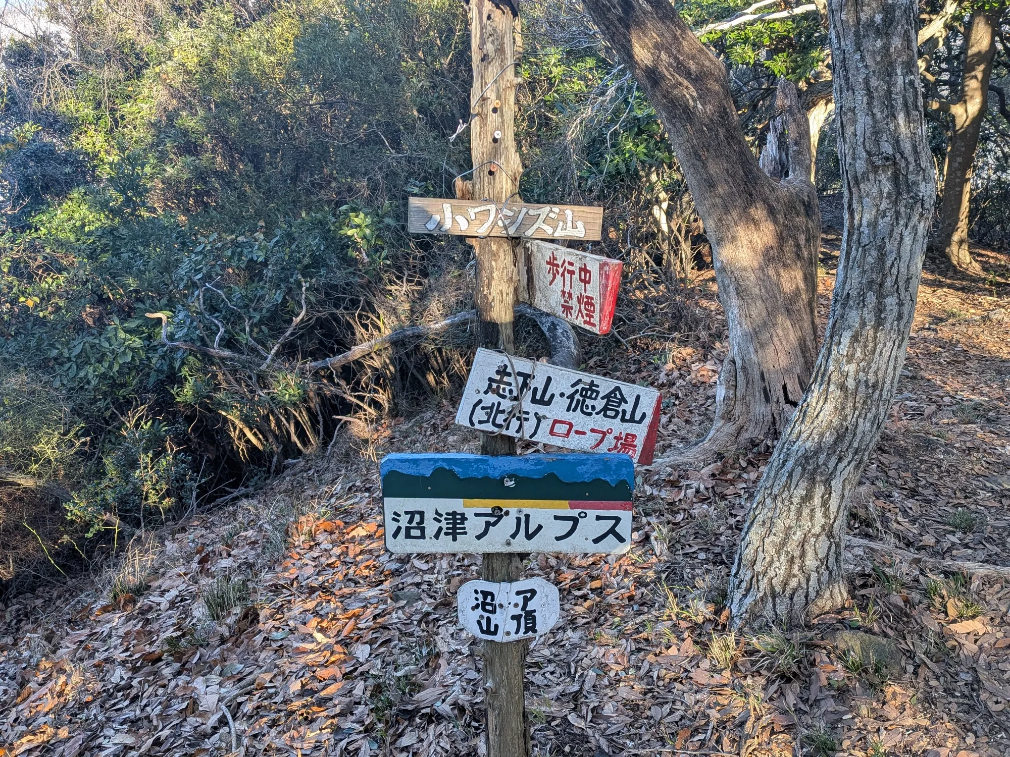 たむら鍼灸整骨院のイメージ