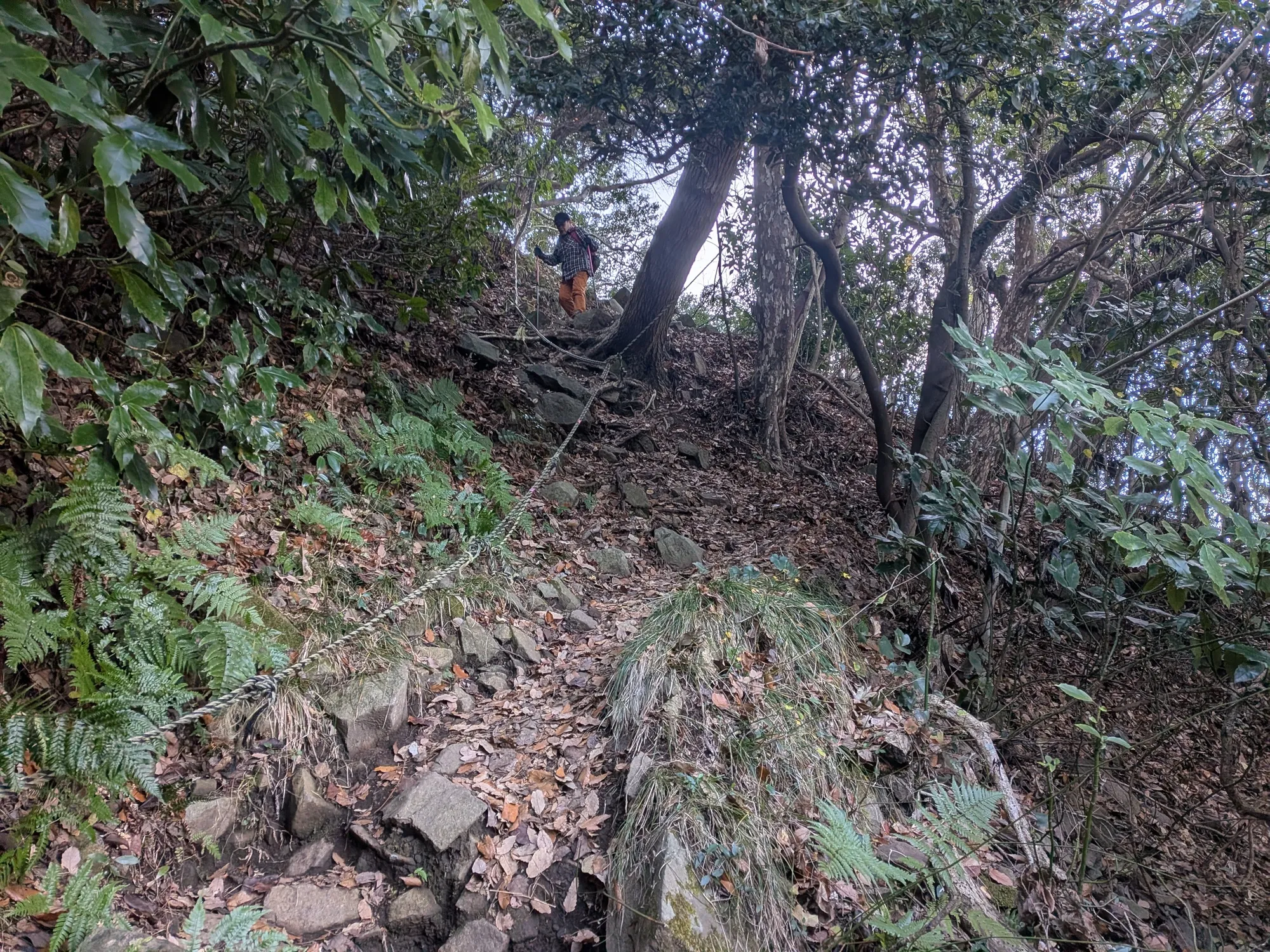 たむら鍼灸整骨院のイメージ