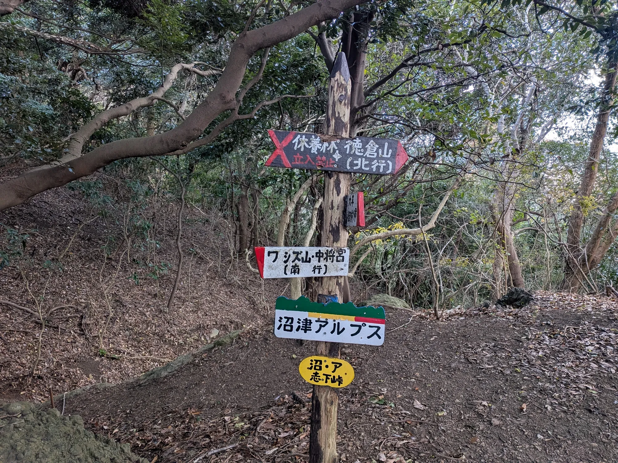 たむら鍼灸整骨院のイメージ