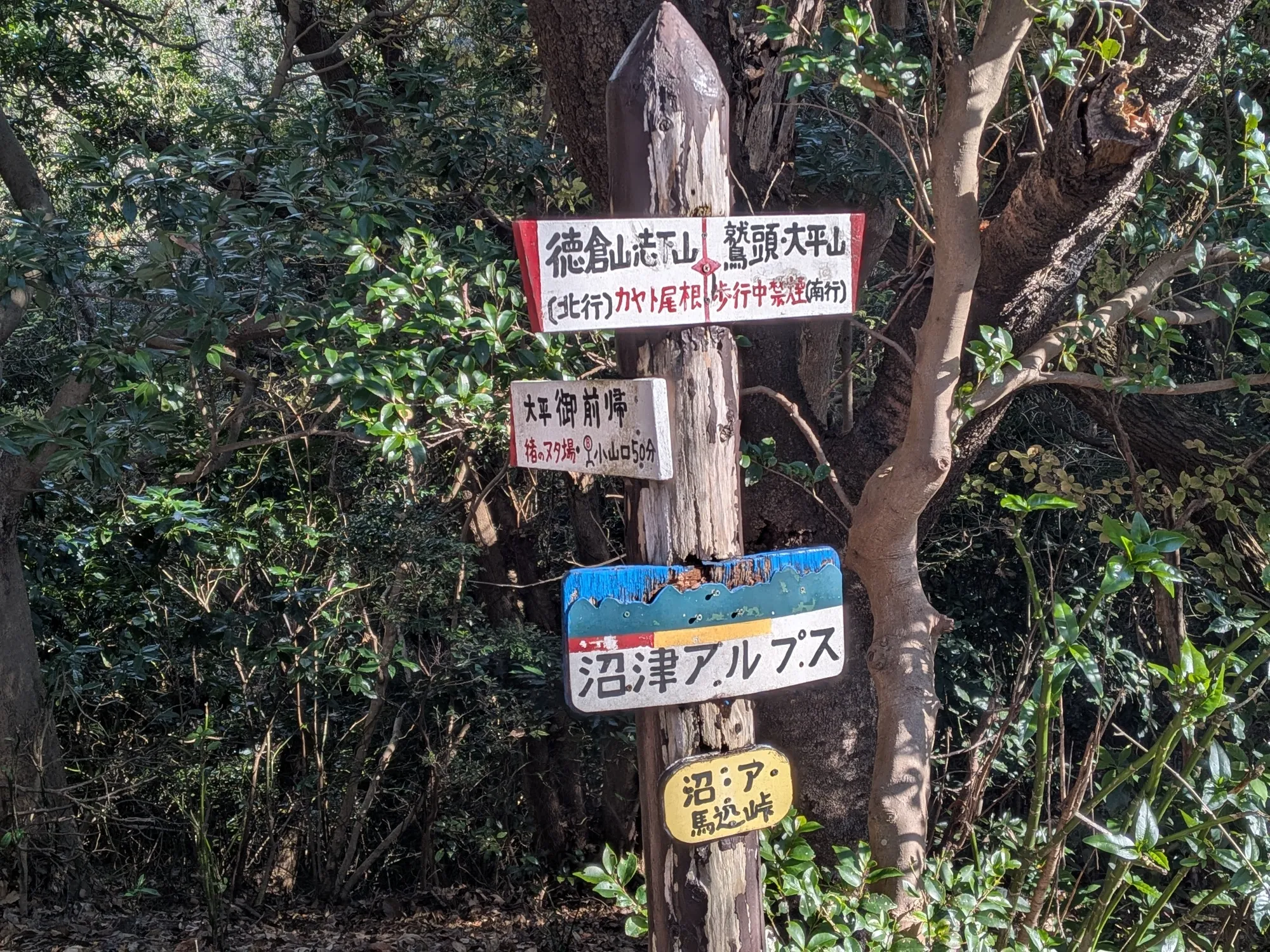 たむら鍼灸整骨院のイメージ