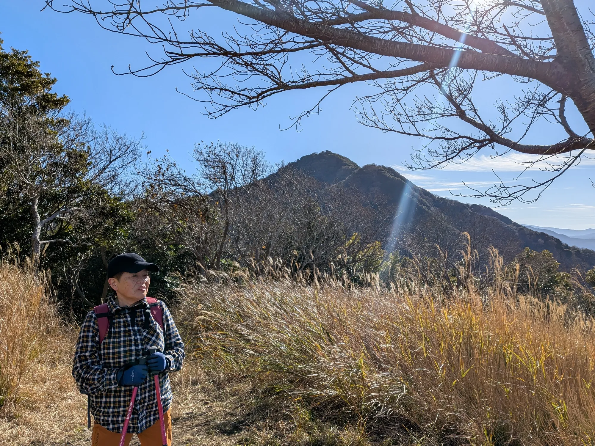 たむら鍼灸整骨院のイメージ