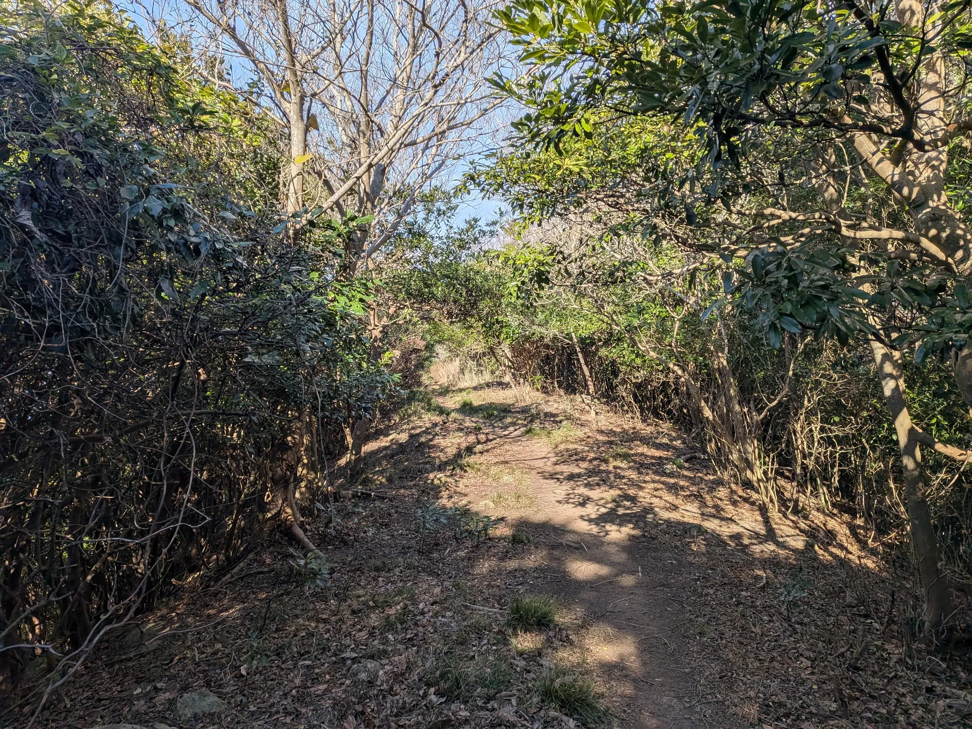 たむら鍼灸整骨院のイメージ