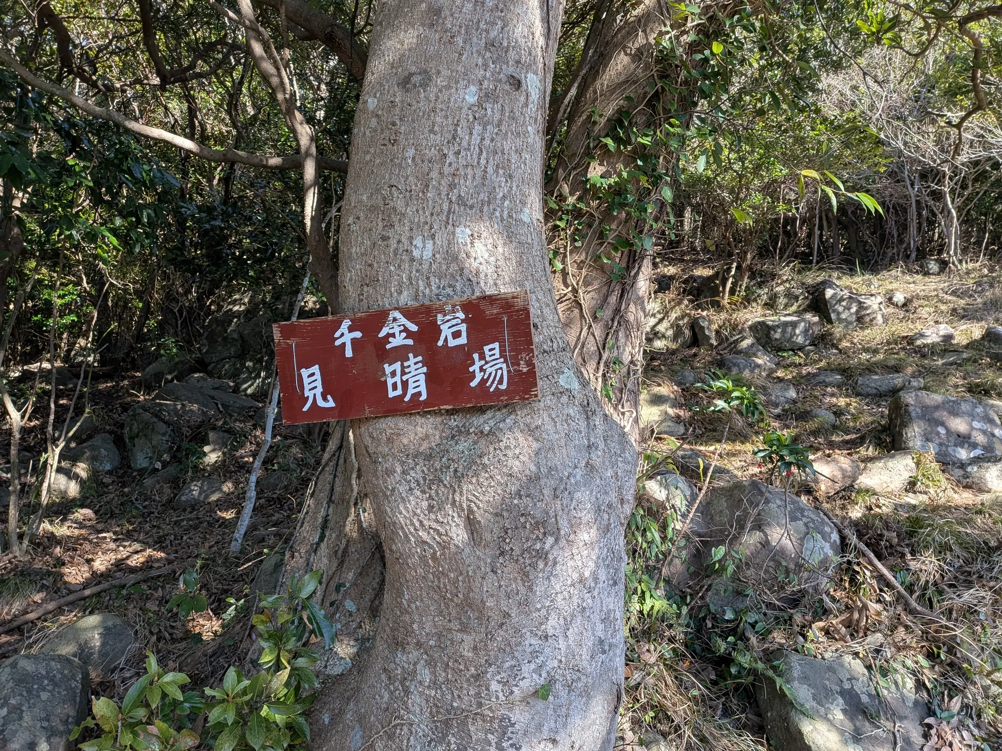 たむら鍼灸整骨院のイメージ