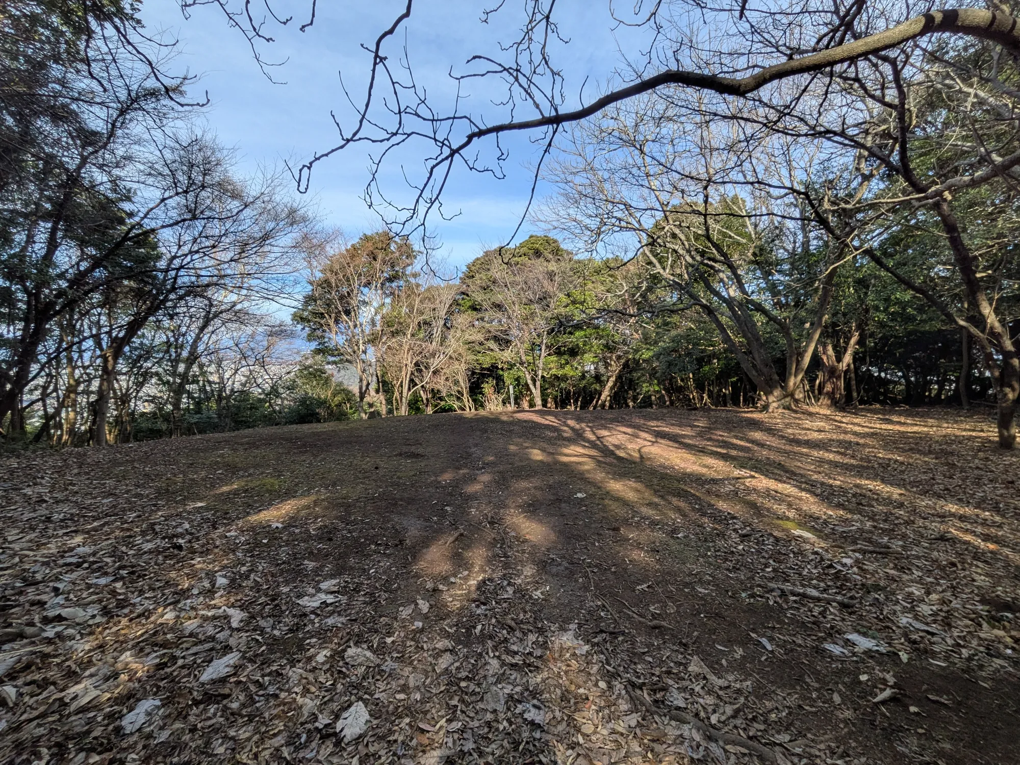 たむら鍼灸整骨院のイメージ