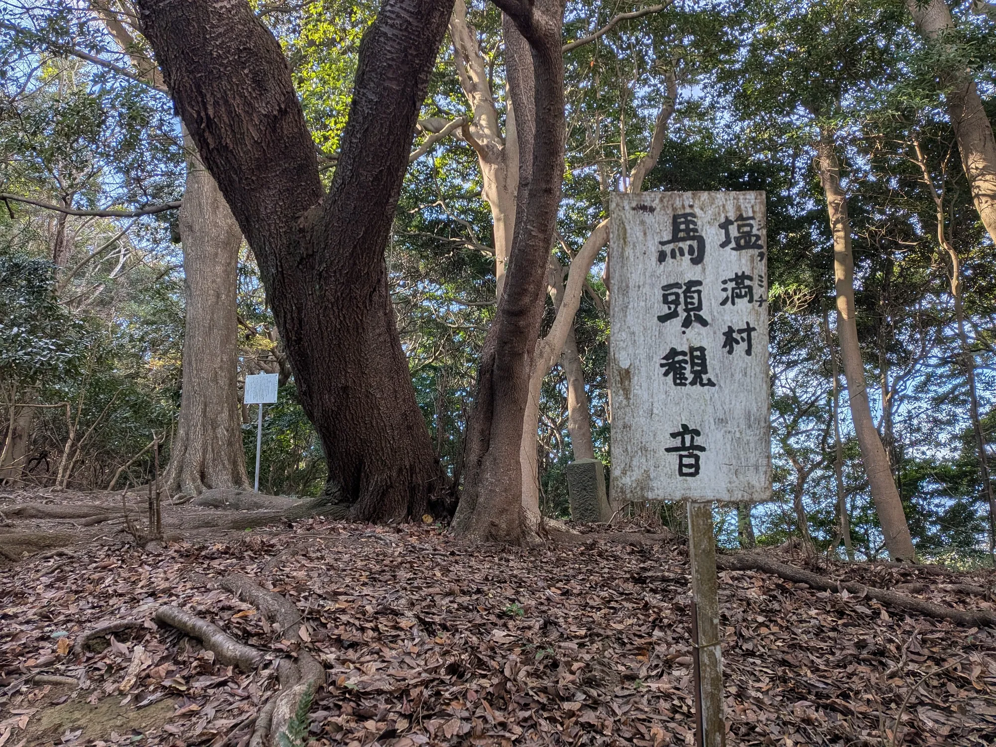 たむら鍼灸整骨院のイメージ