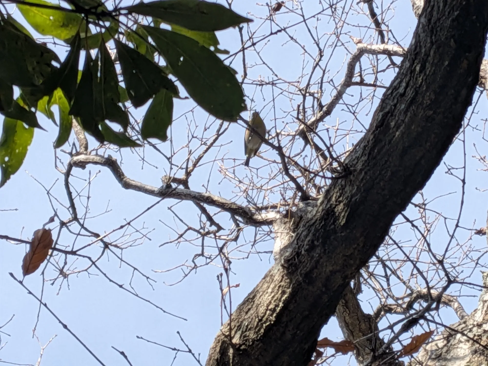たむら鍼灸整骨院のイメージ