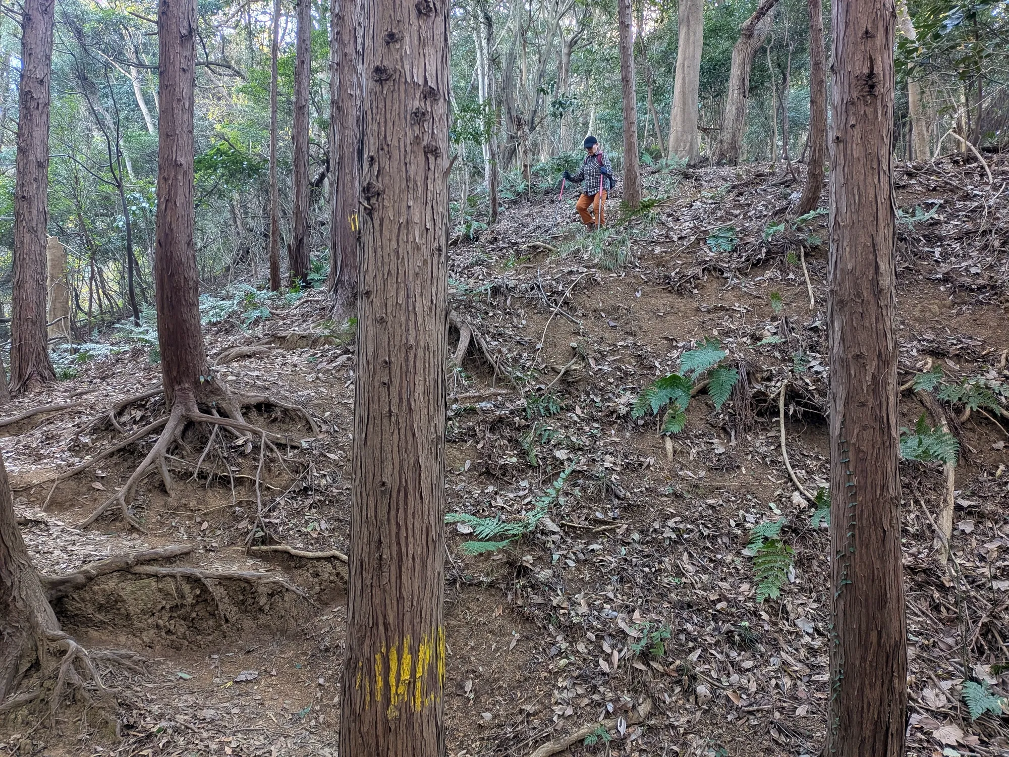 たむら鍼灸整骨院のイメージ