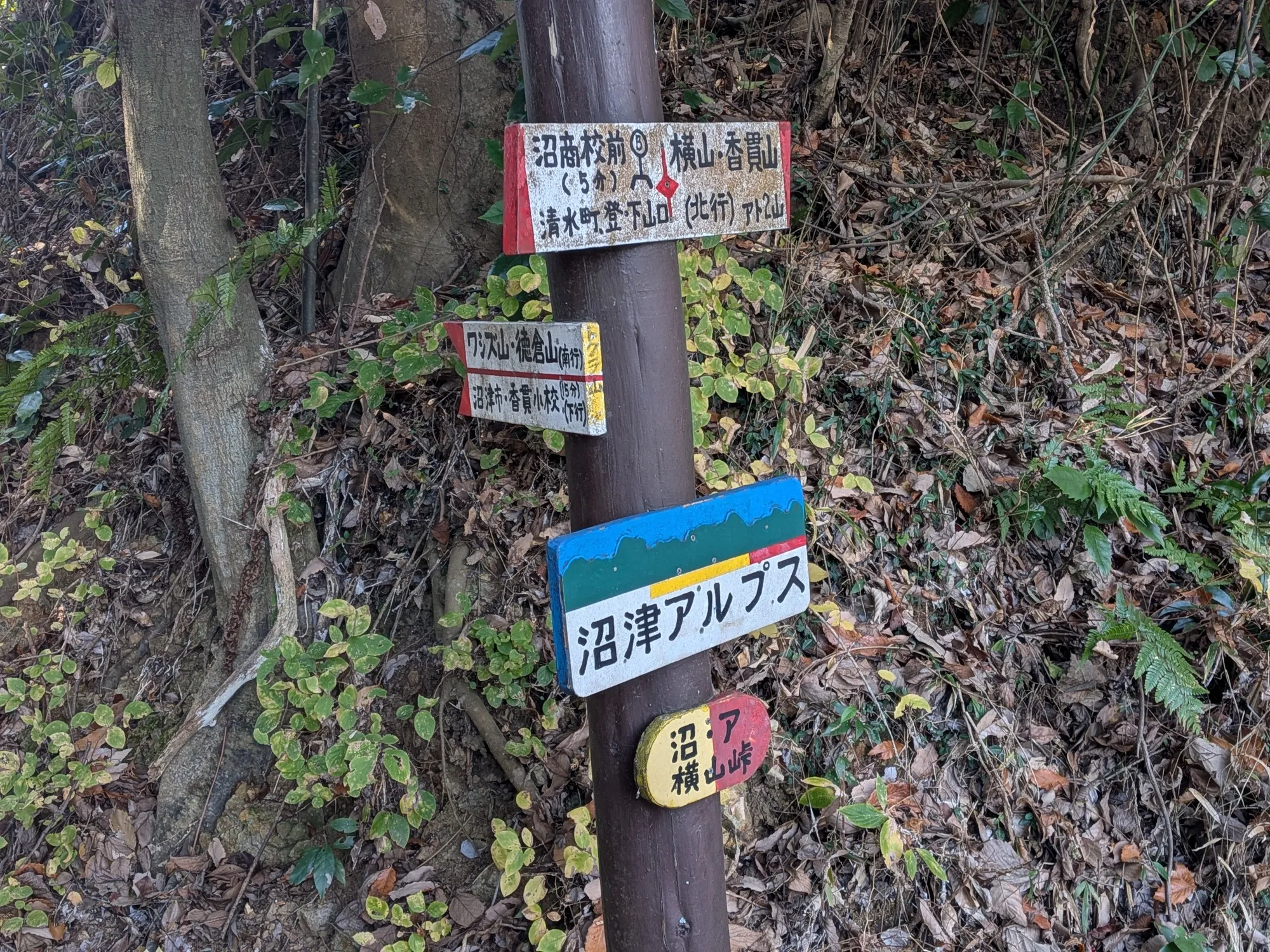 たむら鍼灸整骨院のイメージ