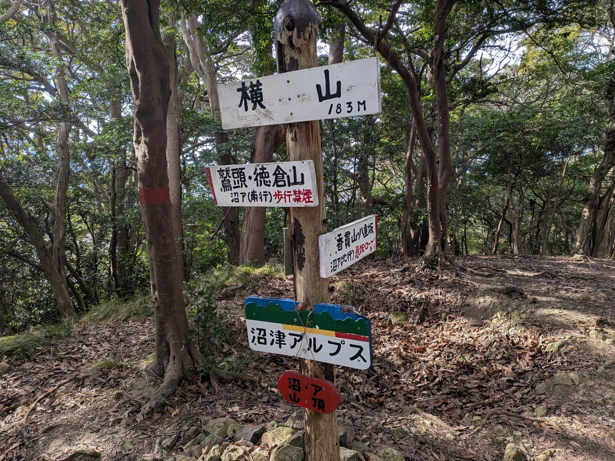 たむら鍼灸整骨院のイメージ