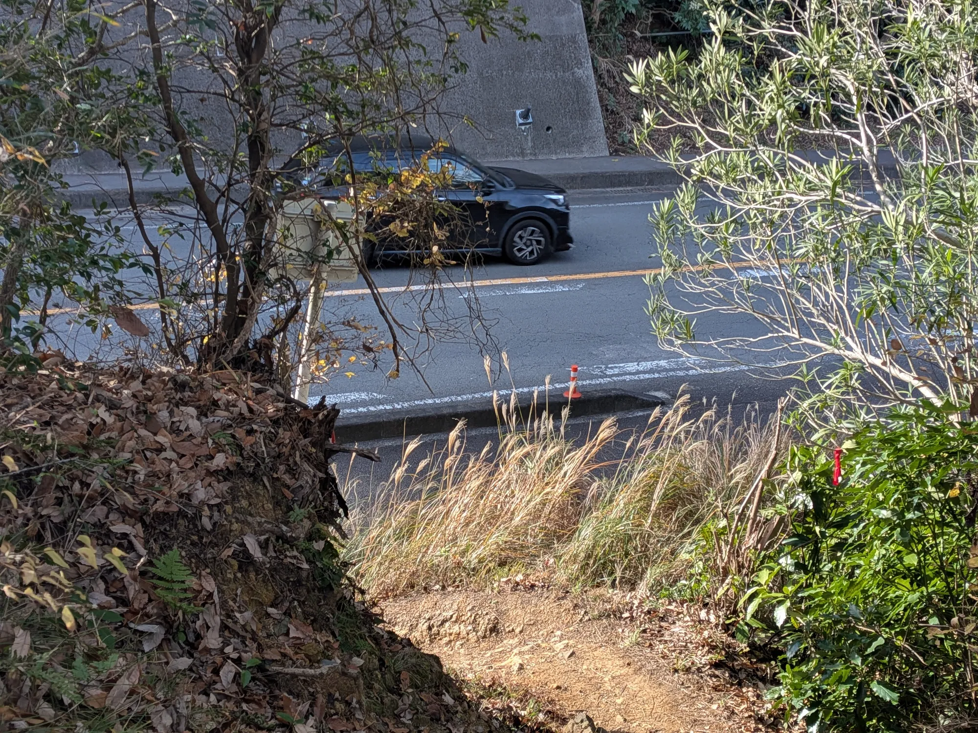 たむら鍼灸整骨院のイメージ