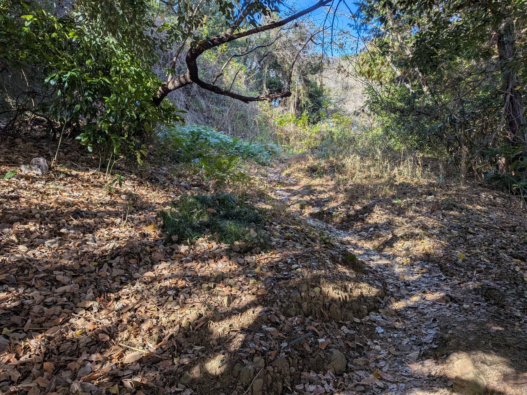 たむら鍼灸整骨院のイメージ