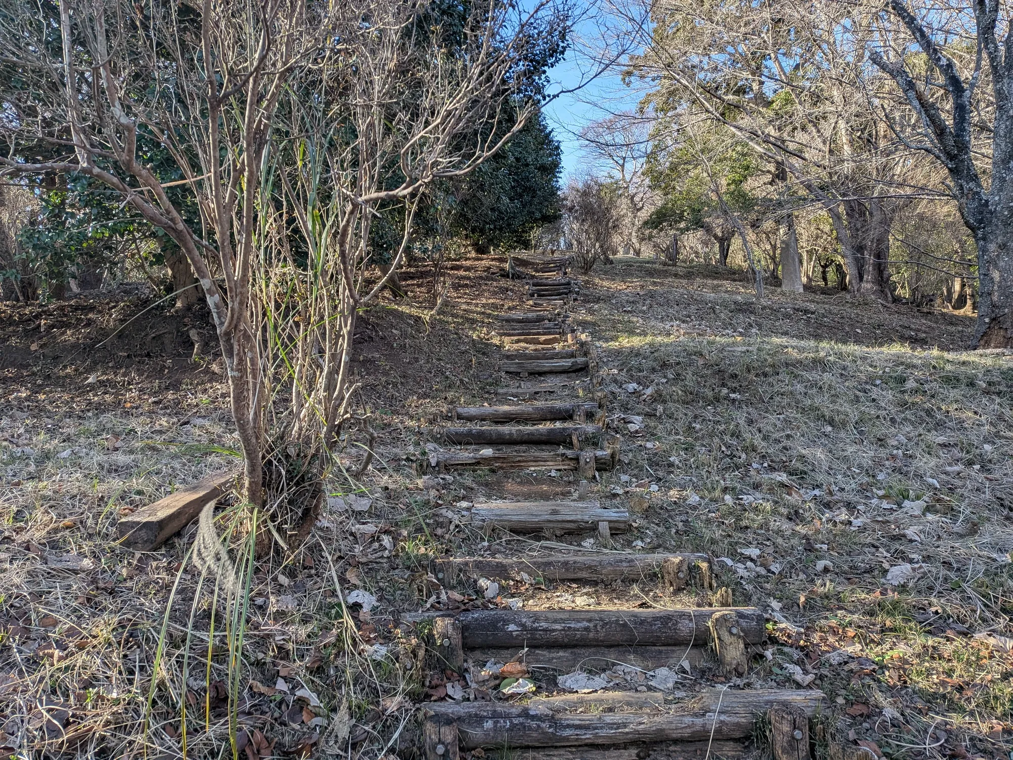 たむら鍼灸整骨院のイメージ