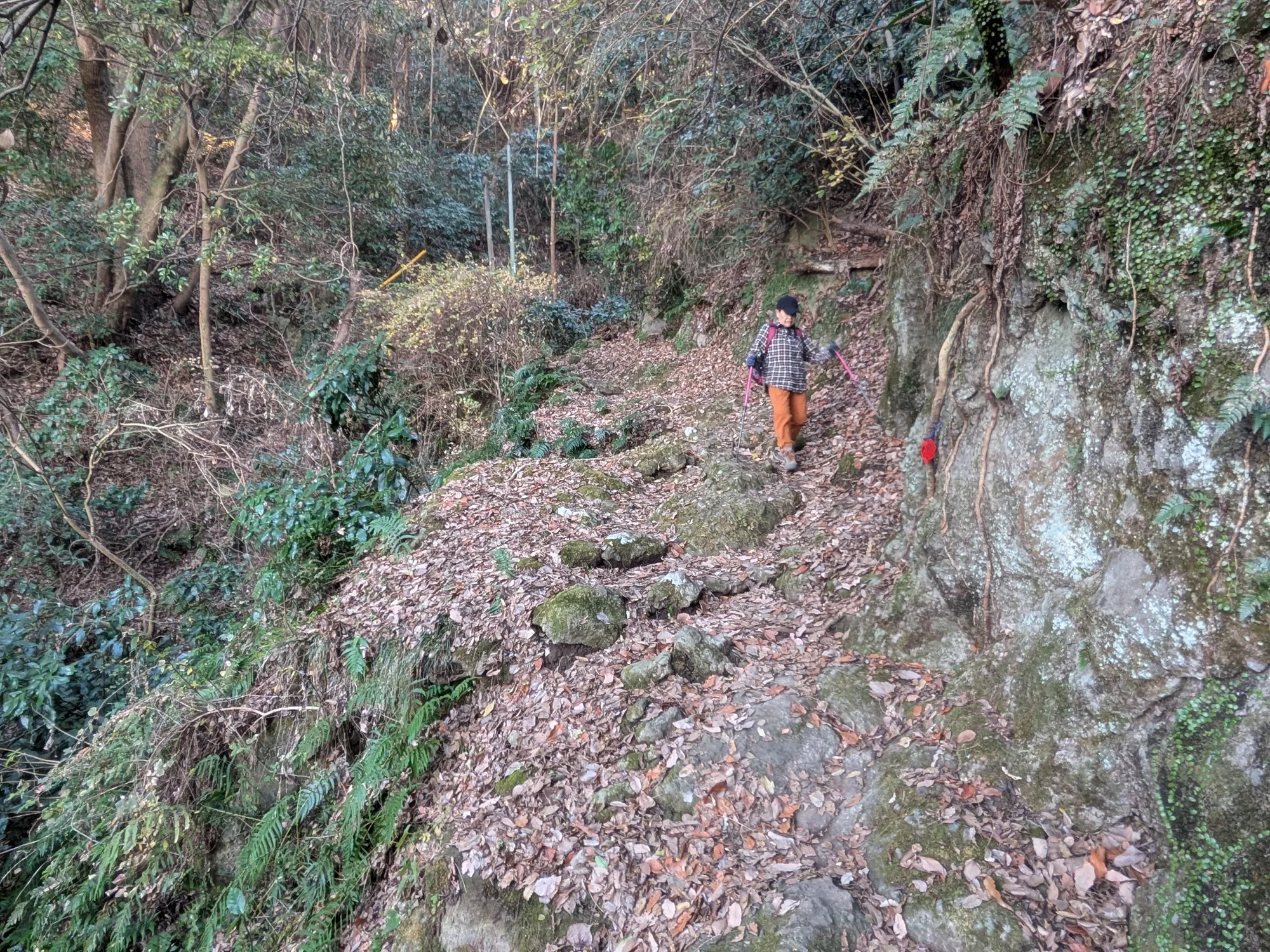 たむら鍼灸整骨院のイメージ