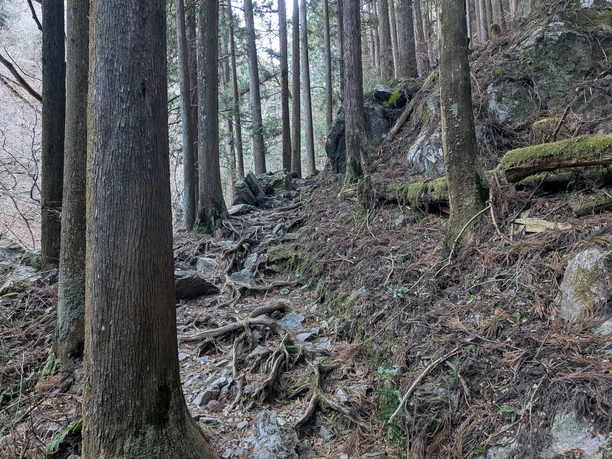 たむら鍼灸整骨院のイメージ