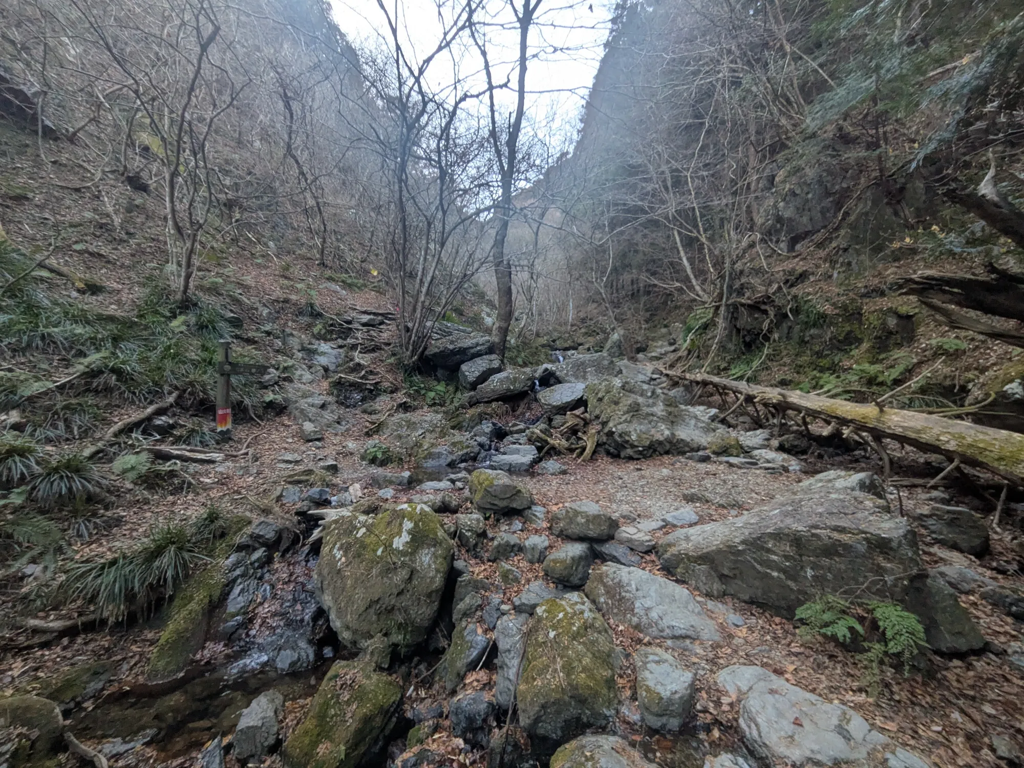 たむら鍼灸整骨院のイメージ