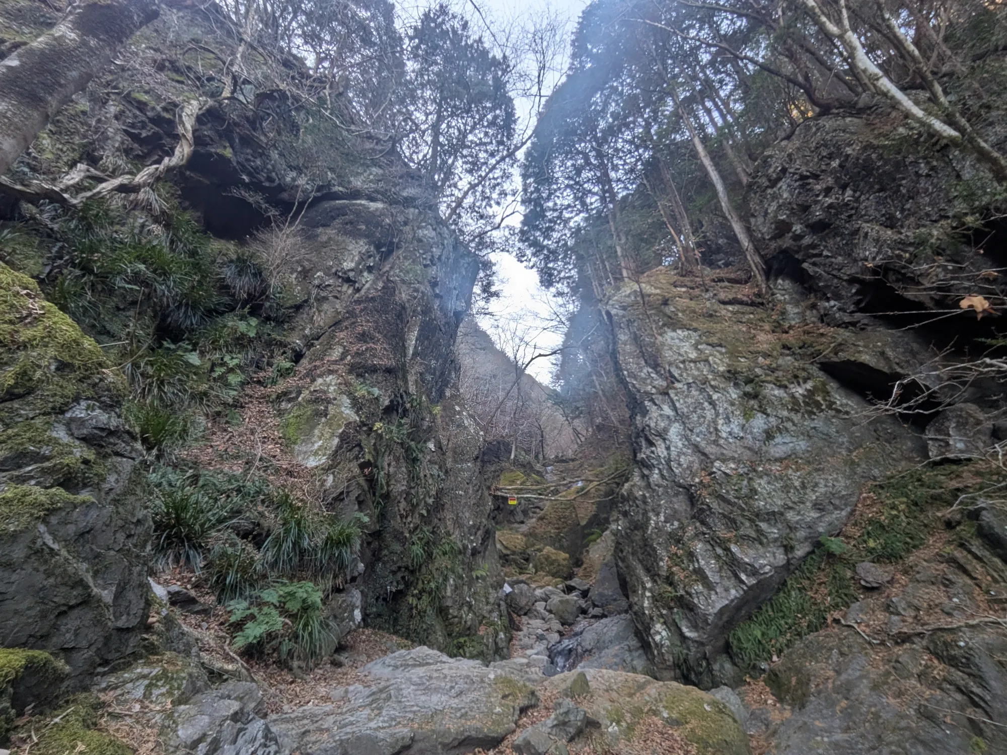 たむら鍼灸整骨院のイメージ