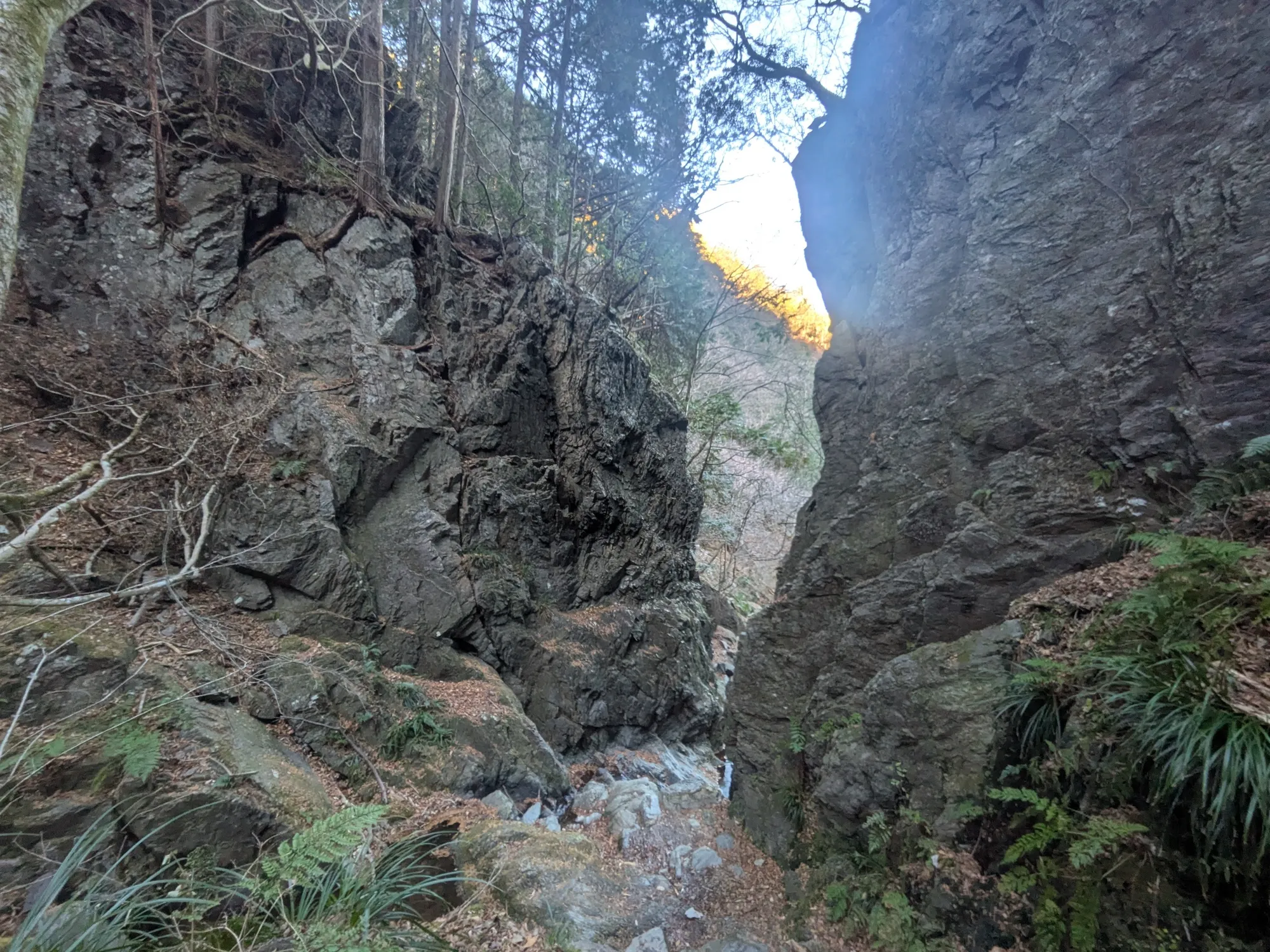 たむら鍼灸整骨院のイメージ