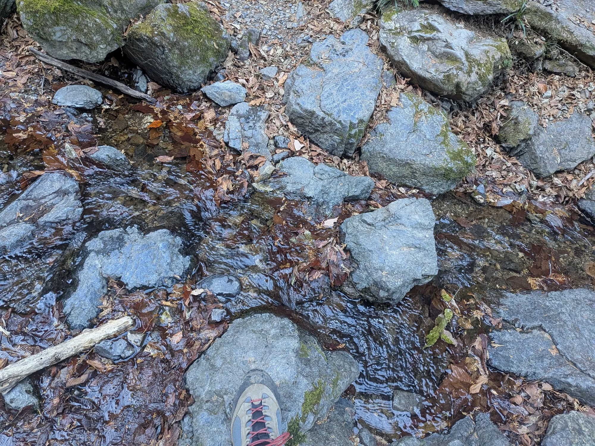 たむら鍼灸整骨院のイメージ