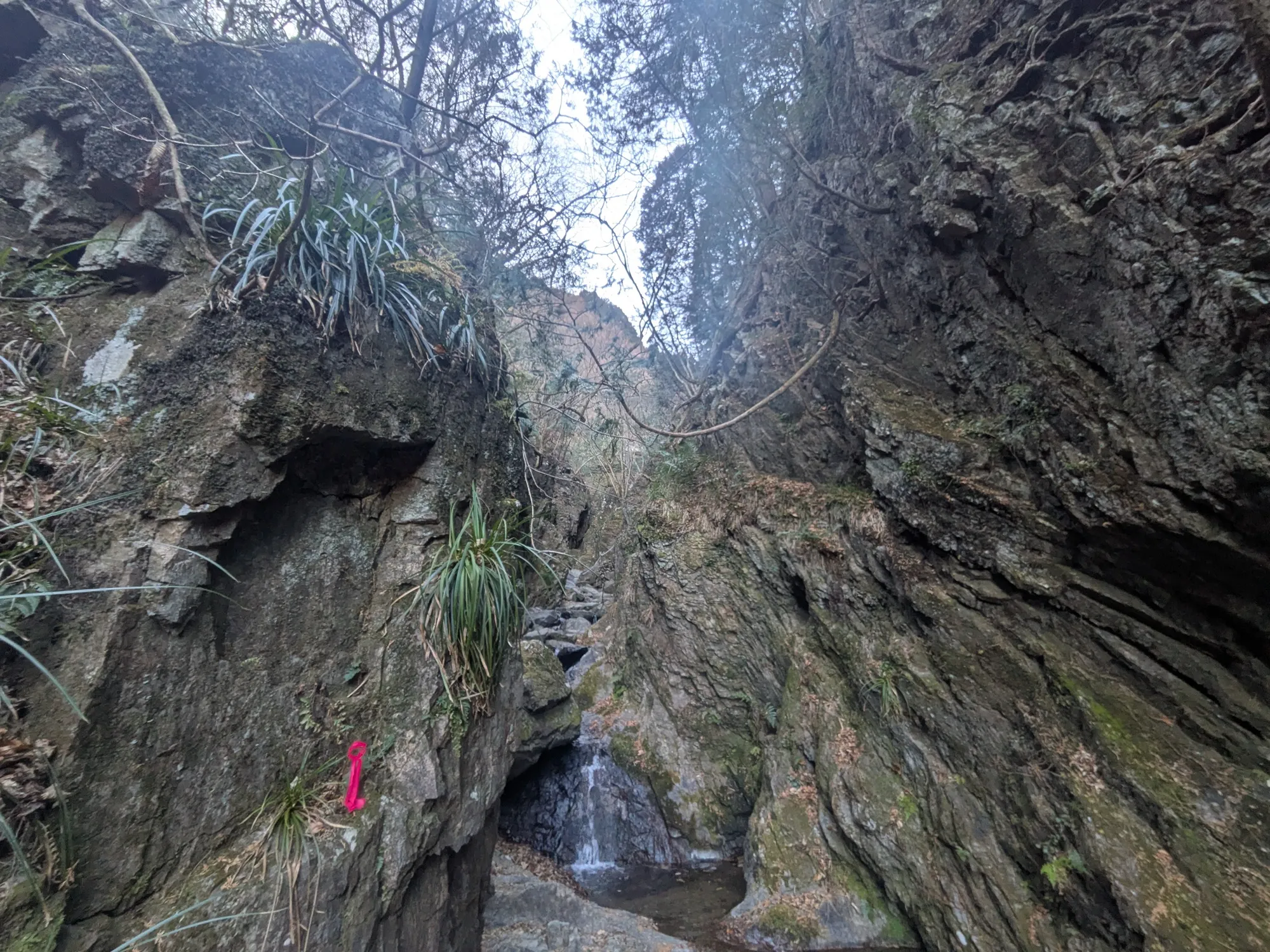 たむら鍼灸整骨院のイメージ