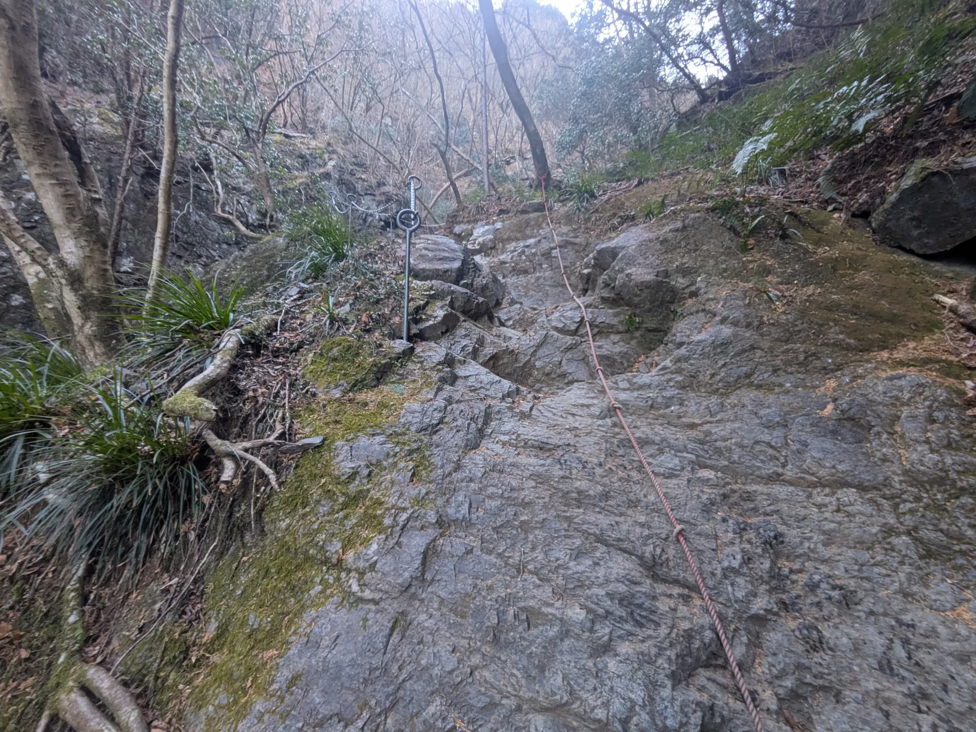 たむら鍼灸整骨院のイメージ