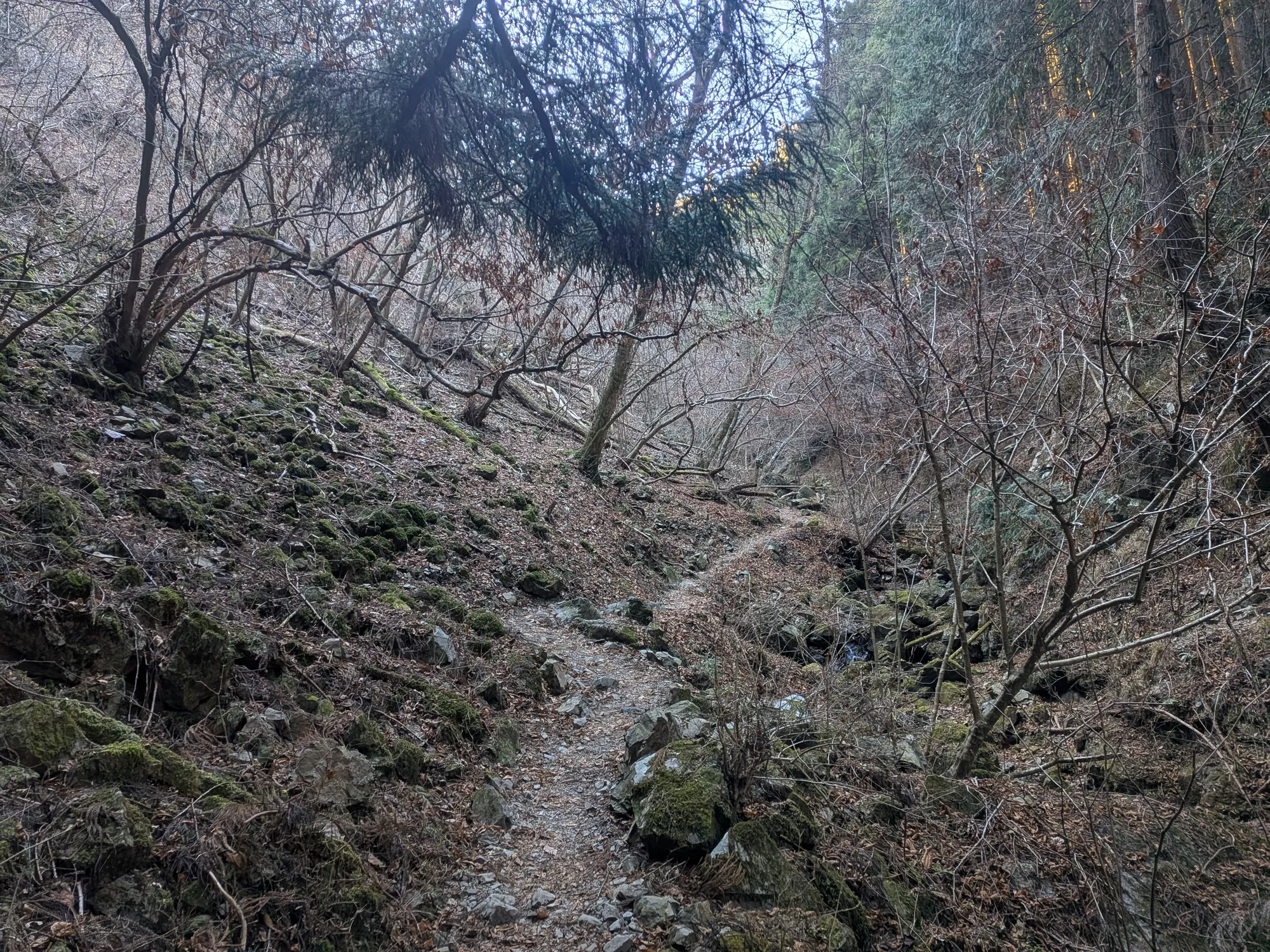 たむら鍼灸整骨院のイメージ