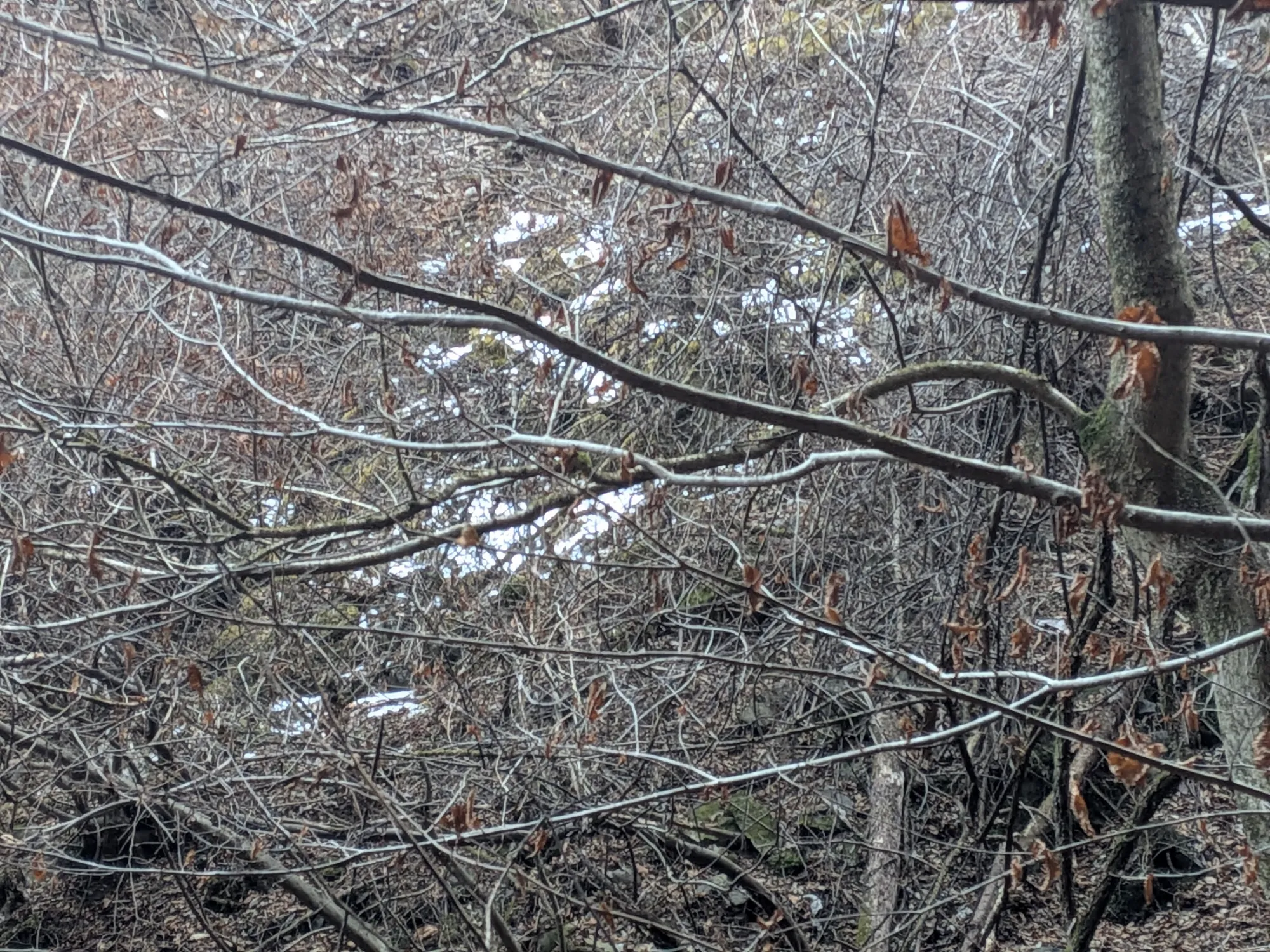 たむら鍼灸整骨院のイメージ