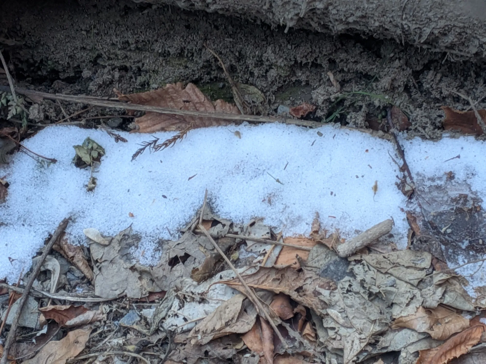 たむら鍼灸整骨院のイメージ