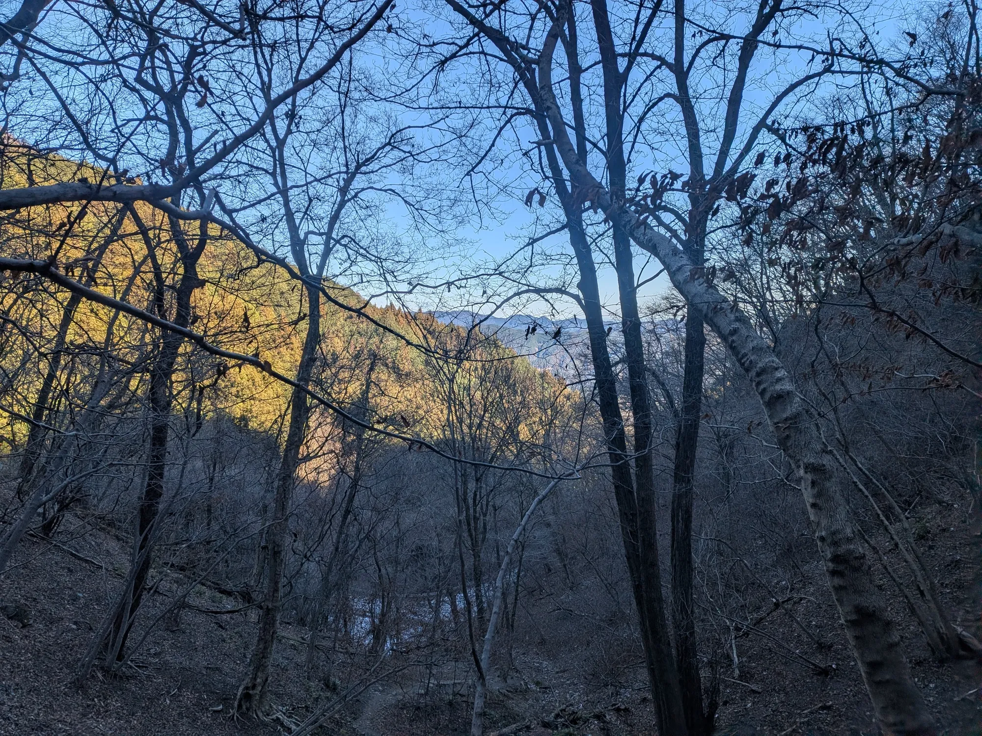 たむら鍼灸整骨院のイメージ