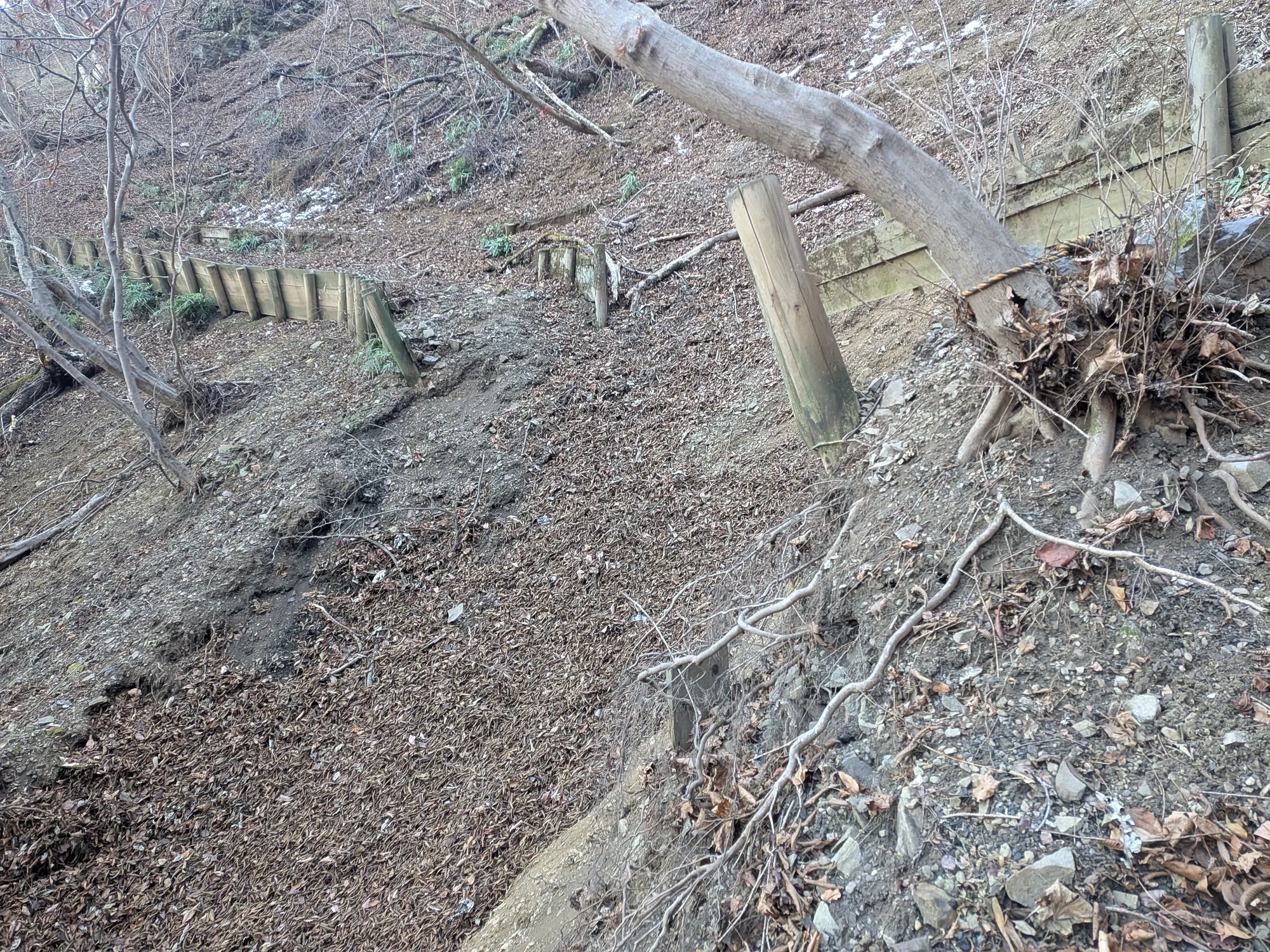 たむら鍼灸整骨院のイメージ