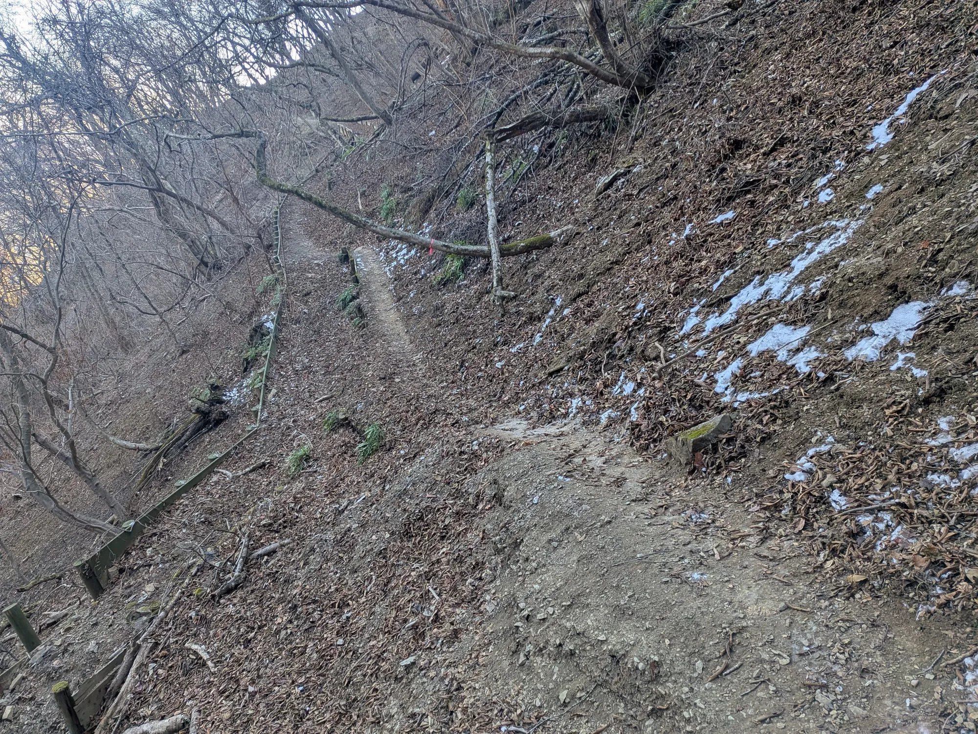 たむら鍼灸整骨院のイメージ