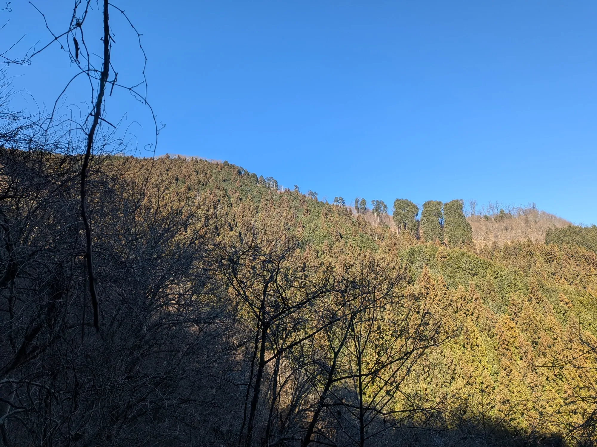 たむら鍼灸整骨院のイメージ