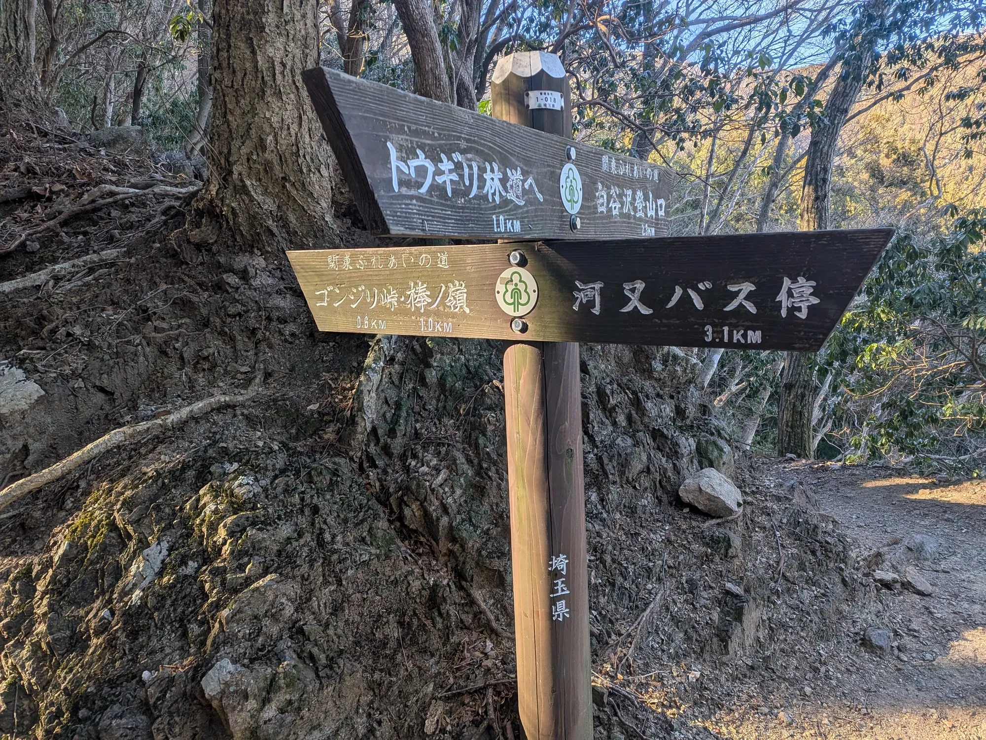 たむら鍼灸整骨院のイメージ