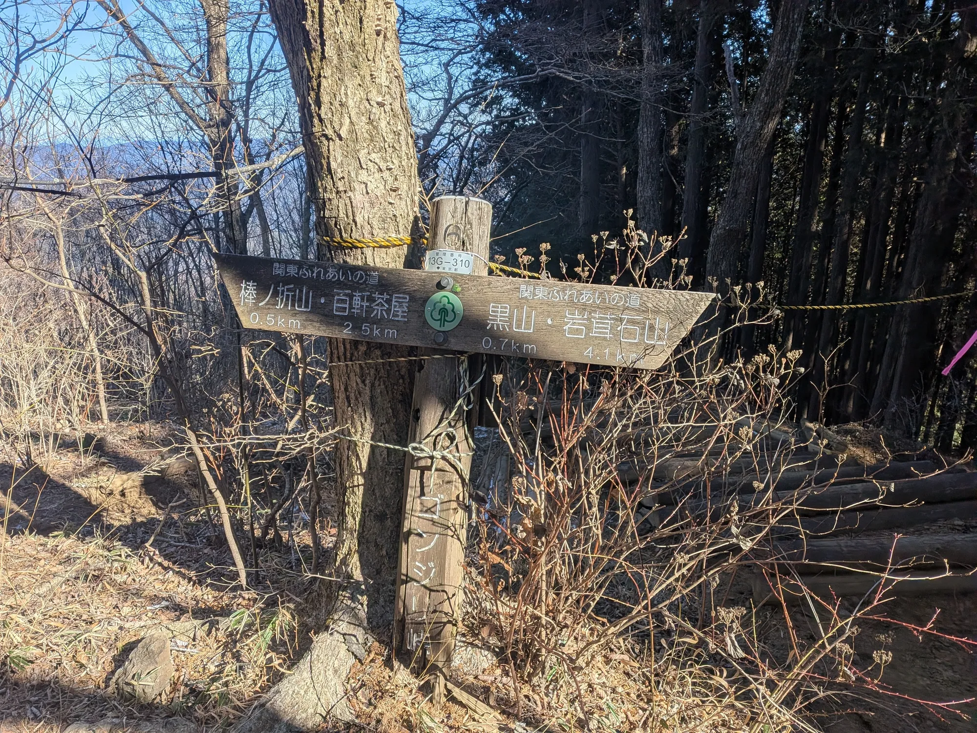 たむら鍼灸整骨院のイメージ