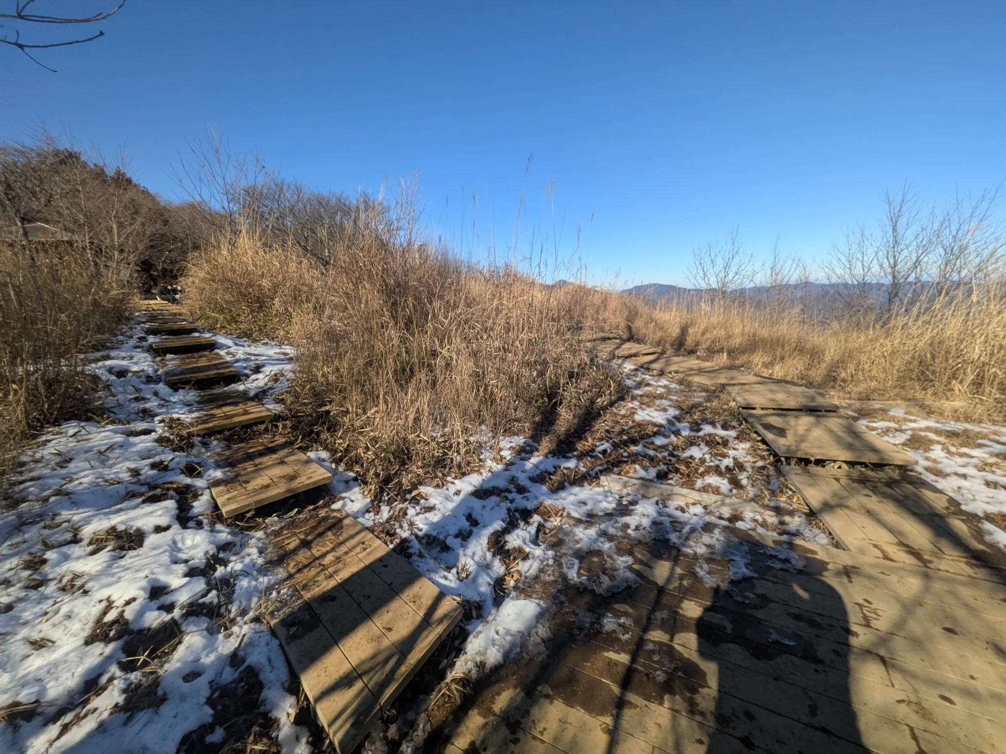 たむら鍼灸整骨院のイメージ