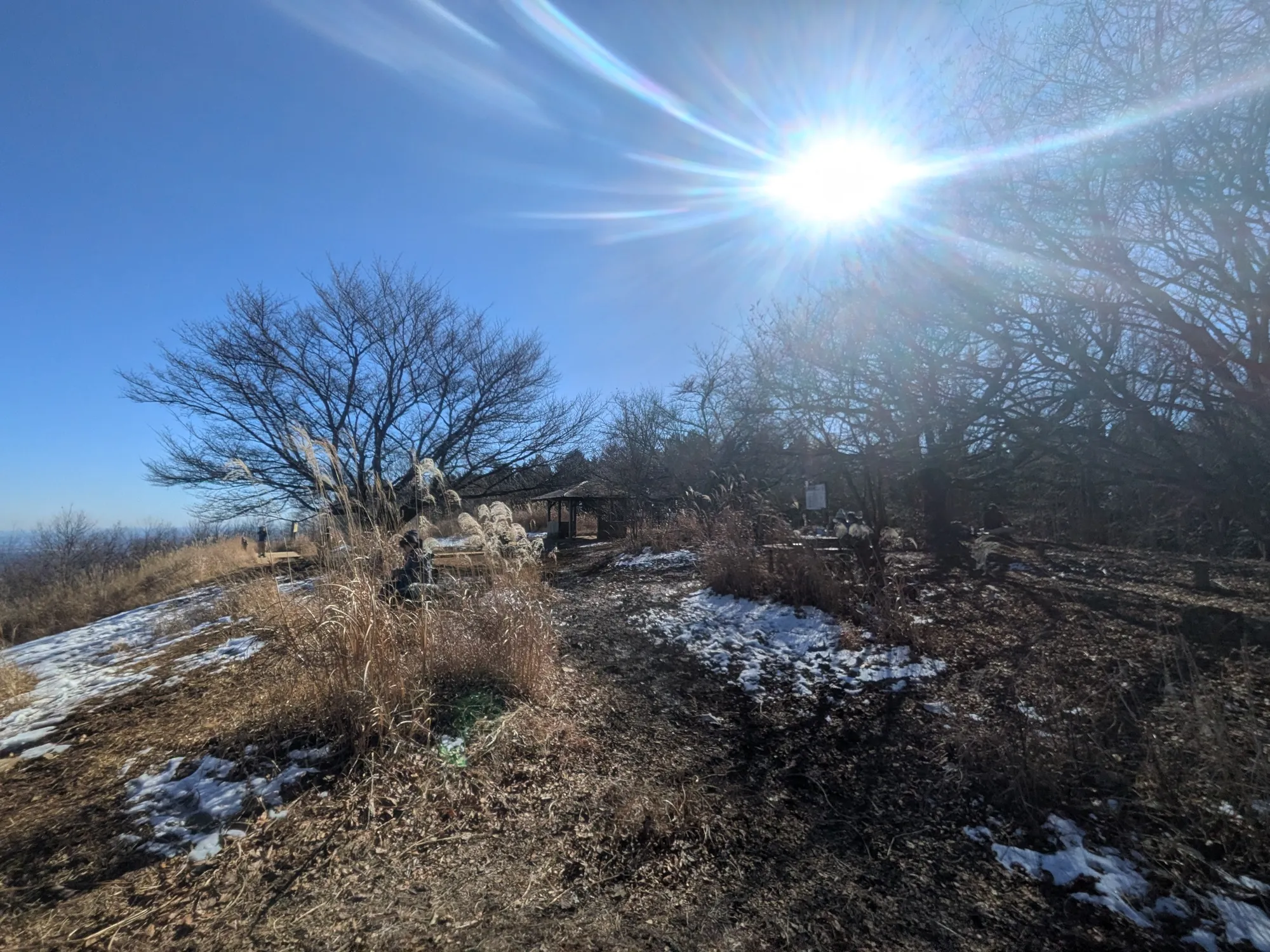 たむら鍼灸整骨院のイメージ