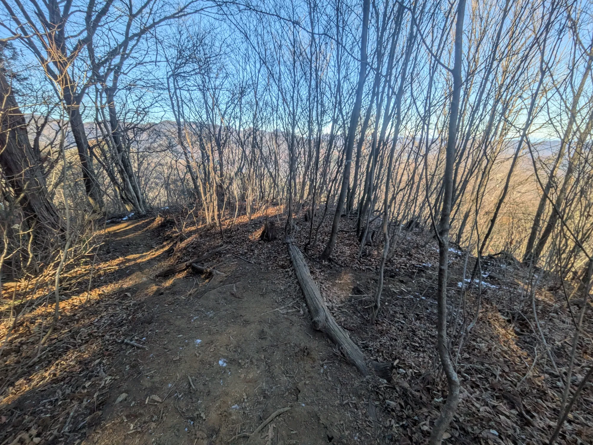 たむら鍼灸整骨院のイメージ