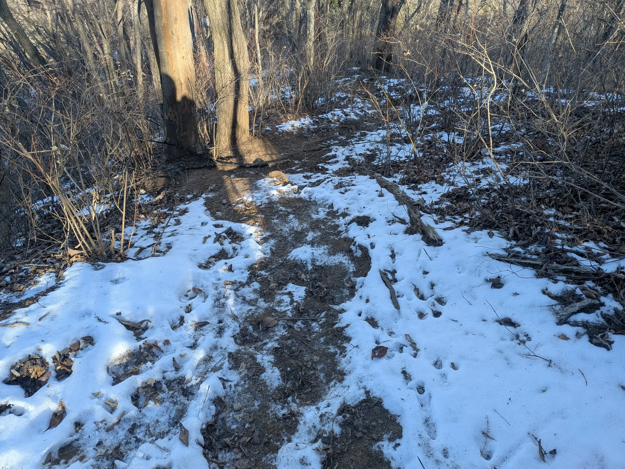 たむら鍼灸整骨院のイメージ