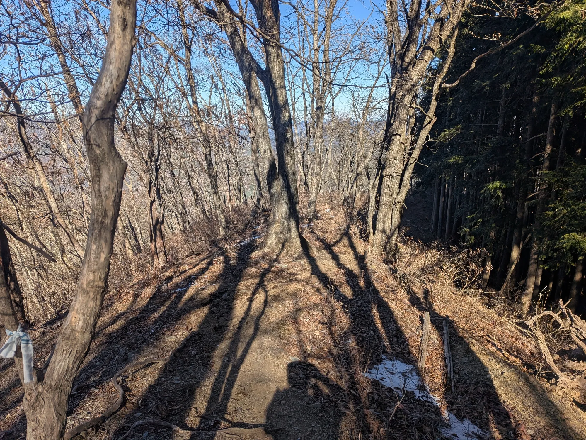 たむら鍼灸整骨院のイメージ